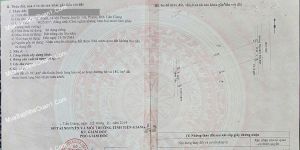 ✅ BÁN ĐẤT 9025M² ĐẤT TRỒNG CÂY LÂU NĂM TẠI, Tân Phước, TIỀN GIANG