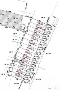 🚨BÌNH Tân - Đường Lê Trọng Tấn- BÁN LẺ VÀ SỈ ĐẤT PHÂN LÔ – SỔ RIÊNG TỪNG LÔ