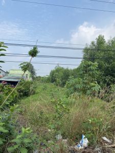 Bán đất nhà chính chủ,DT:10x100m (1000m2) có 300m2 thổ - 2.2 tỷ