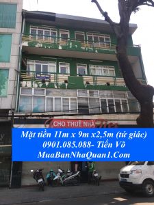 Nhà Nguyên căn cho thuê Trần Quang khải, Tân Định, Q1